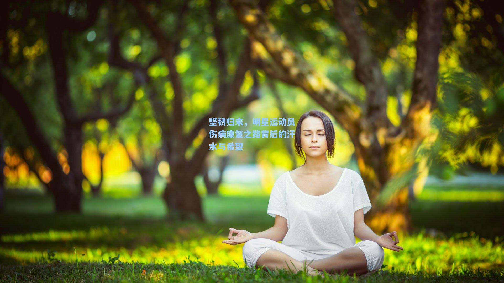 坚韧归来，明星运动员伤病康复之路背后的汗水与希望