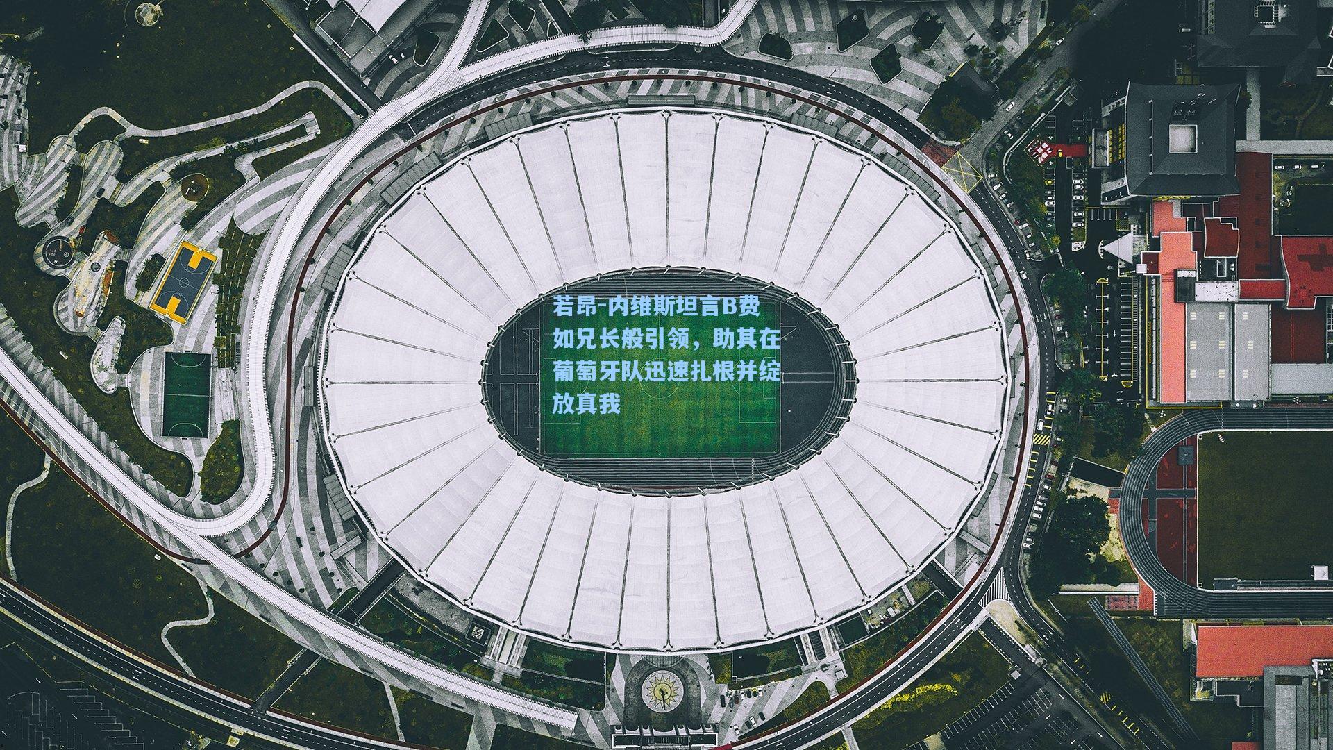 若昂-内维斯坦言B费如兄长般引领，助其在葡萄牙队迅速扎根并绽放真我